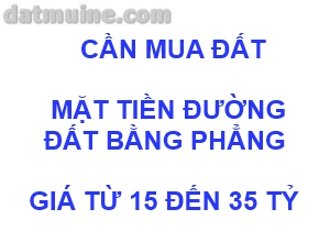 Ban dat mui ne